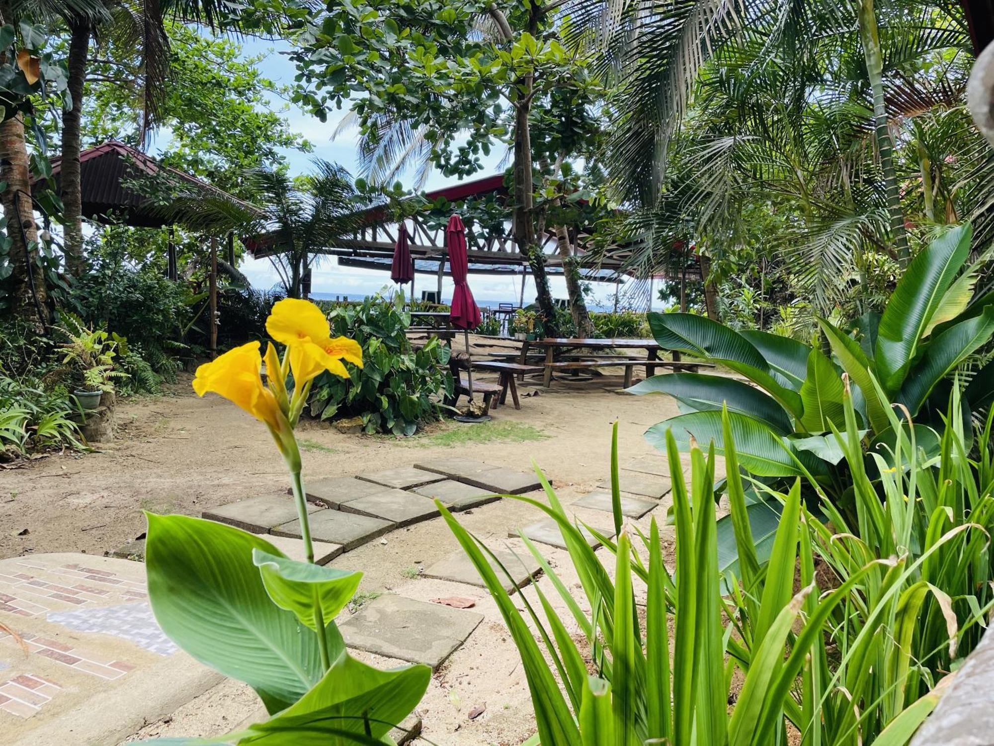 White Beach Front&Cottages Buruanga Exterior foto